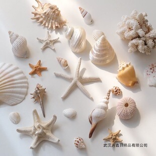 ��Ȼؐ�����ǔ[���b����~���쾰�ֹ�diy�����Ʒ�յ���