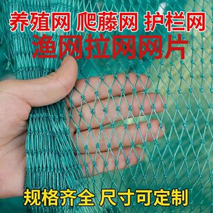 �O�W���W�WƬˮ�a�Bֳ�W�����Bֳ��W�B�u�W���ھW���B�W�s���Ї�