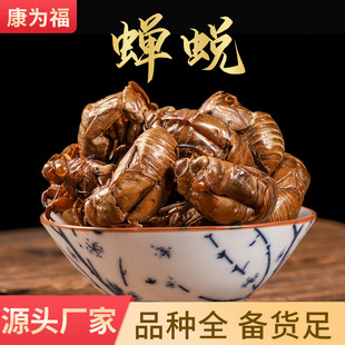 �s͑ ˮϴ�s�� ֪��Ƥ ��ș���s͑ �s͑�� ����� ����ă�