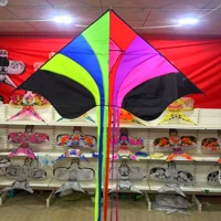 1,9-метровое летающее небо