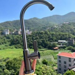 單水立式不鏽鋼廚房單冷水龍頭洗菜盆洗碗水槽陽台洗臉盆菜盆龍頭