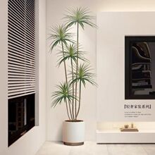 �p�ݾGֲǧ��ľ�͏d�b�����ֲ������ٻ���Ѫ���҃���ؔ[��