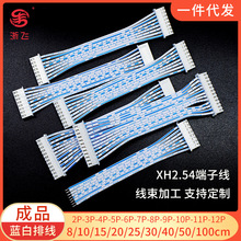 蓝白排线XH2.54杜邦端子线2p3p4p5p6p7p8p10p12p XH双头同向排线