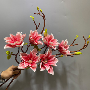 �¿�����m���滨�Ƶ�͏d���s�ҾӔ[�żٻ�3�^���m�����廨ƿ