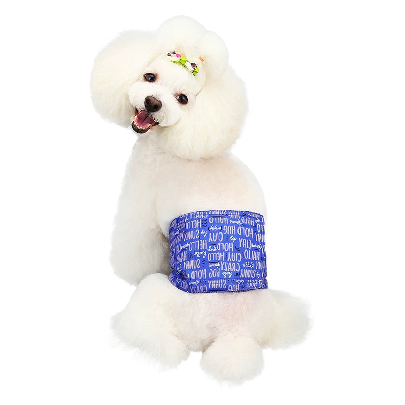 Домашние животные-кобли-физиологические брюки Водонепроницаемый анти-домогательский принт