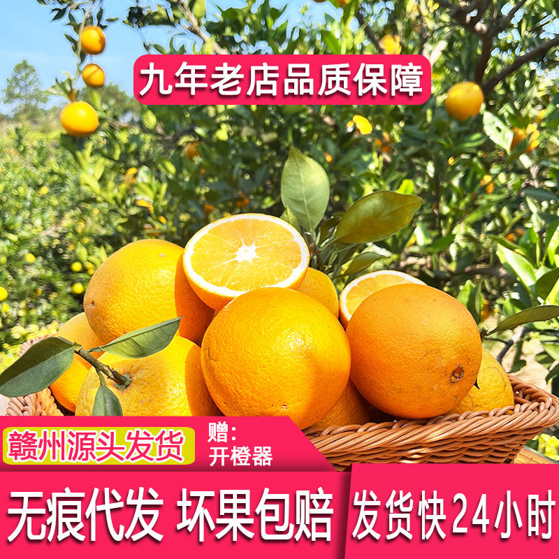 【现货】赣南脐橙20斤装大果 新鲜水果江西赣州脐橙现摘橙子批发