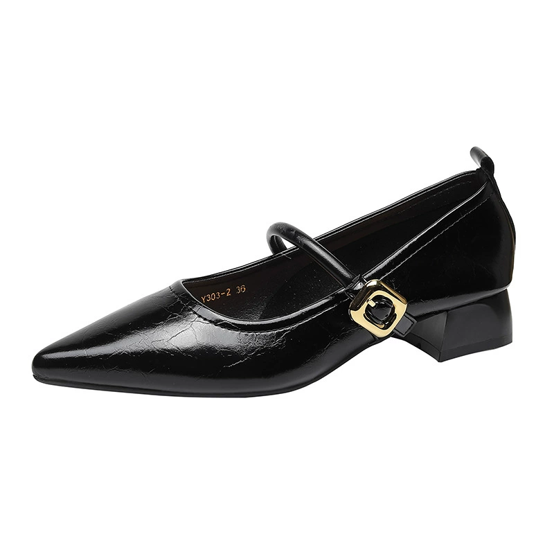 French pointed single shoes female 2025 new low-heeled light mouth buckle thick heel Maryzhen small leather shoes y303-2