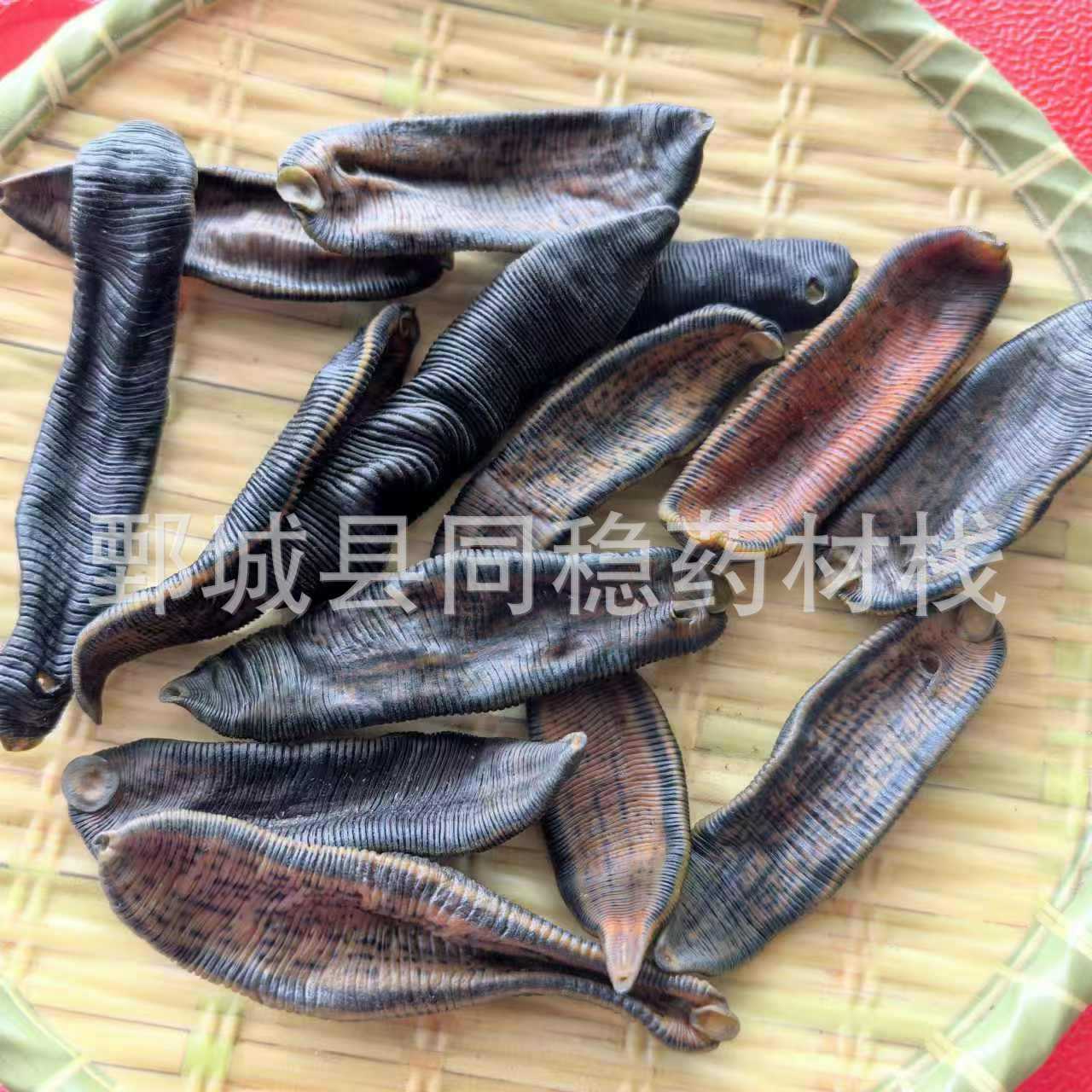 中药材清水吊杆水蛭 大条 产地江苏 同稳药材 质量保证