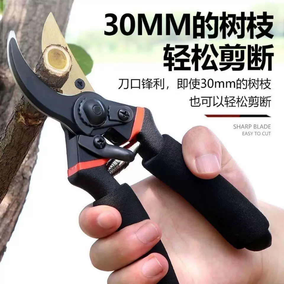 强力修枝剪刀树枝修剪园林花枝剪子园艺粗枝剪刀剪枝木工厂家直销