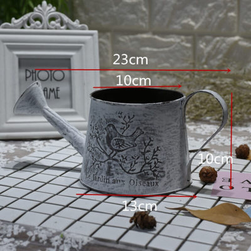 오래된 새 물을 수 있습니다, 화분에 부어 수 없습니다.