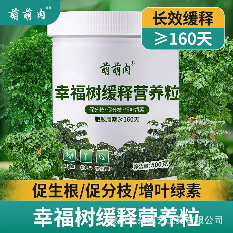 Специальное медленное высвобождение питательных частиц и корней дерева счастья