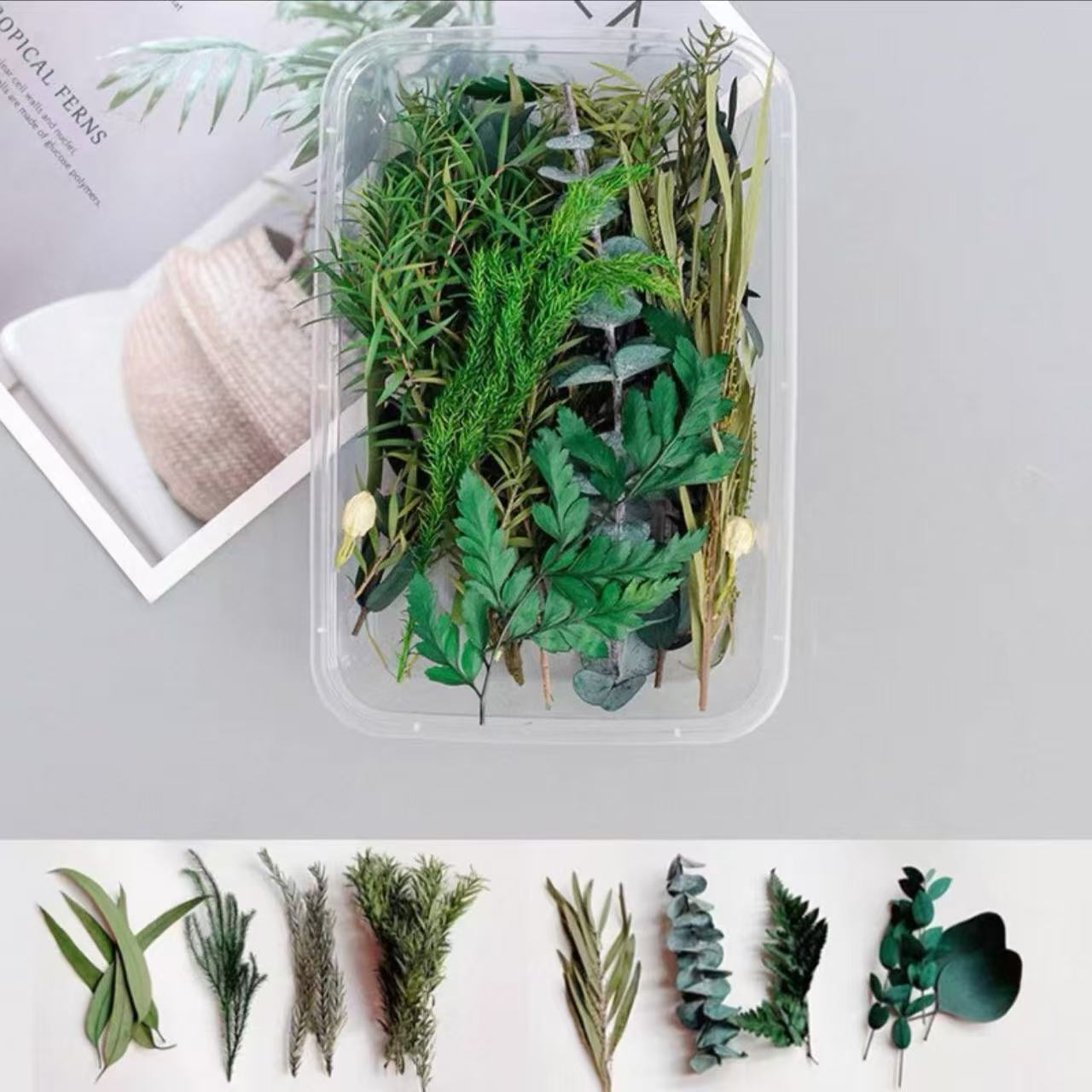 Paquete mixto de bricolaje, decoración hecha a mano, flor eterna, material de paquete de flores secas, marco de fotos de bricolaje, paquete de flores en relieve, día de la mujer