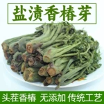 香椿芽咸菜山东特产新鲜腌制香椿头下饭菜1000g酱菜头茬香椿批发