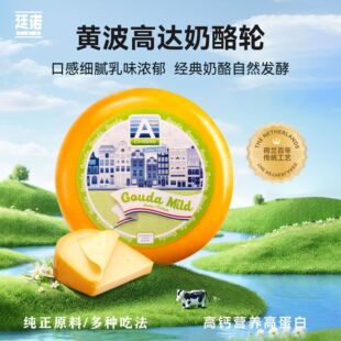 ͢�Z�S��������݆���m�M�ڸ��}�ߠI�B�決���ø��_Goudaԭ������