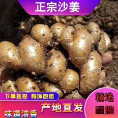 高州砂姜茂名新鲜白切鸡配料包邮猪脚椰子鸡沙姜山奈产