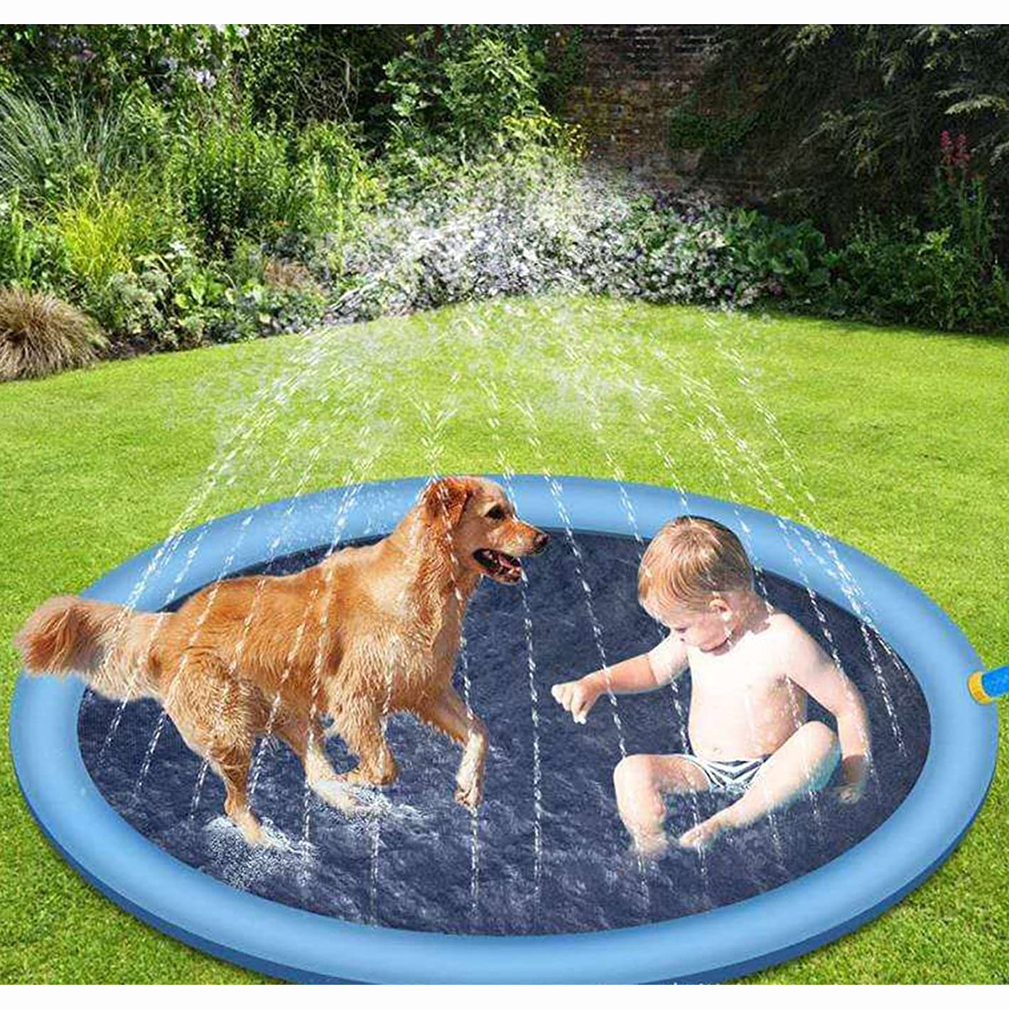 81UD6k2P4WS._AC_SL1500_