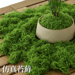 Moss Turf Bionic Artificial Fake Moss Micro Landscape Decoration Lawn Bonsai Potted Paving Landscaping