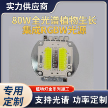 厂家大功率植物补光灯珠仿流明全光谱LED灯珠大功率COB灯珠发光面