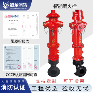 Yinglong Fire Sszn100 Intelligent Fire Hydrant Dn100 Remote Flow Monitoring Anti-Theft Intelligent Outdoor Fire Hydrant