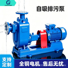 80ZW50-60 大扬程大功率ZW自吸泵工厂排水鱼塘换水市政防汛排污泵