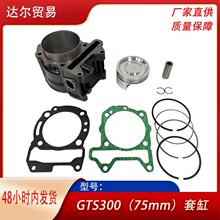 GTS300Ħ�г���ʱ����������GTS300 GTV300 PIAGGIO VESPA300�׸�
