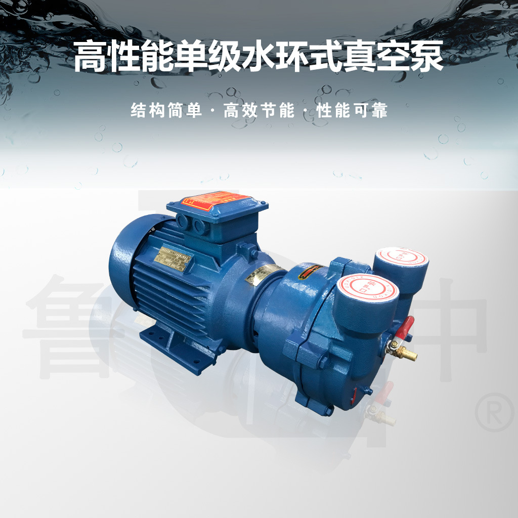 2BV2061现货供应请认准鲁中牌 淄博鲁中工业泵厂品质保障性能稳定