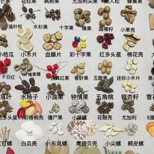 �����������������������ɹ���֦���~ؐ���׃��@�h���ֹ��˱�