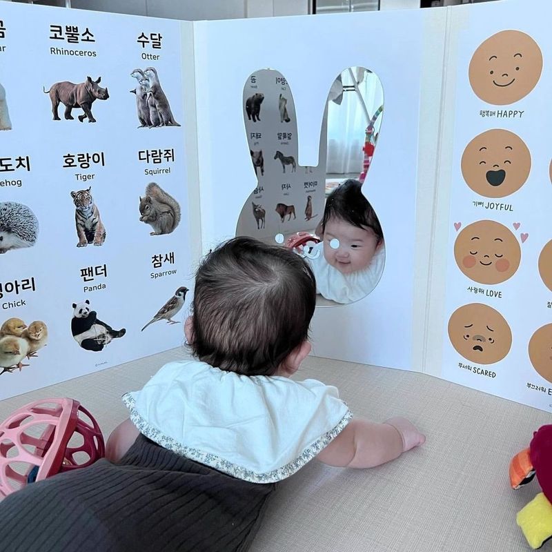 早教认知卡立式屏风折叠双面卡通儿童启蒙看图卡益智识字玩具礼物|undefined