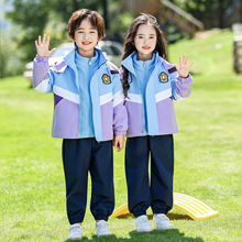 儿童校服秋冬运动服可拆卸冲锋衣幼儿园园服春秋装班级三件套冬季