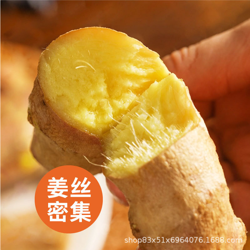 Yunnan Small Turmeric Fresh Wholesale Ginger Old Ginger New Ginger Fresh Ginger 1/2/3/5/9/10 Dropshipping