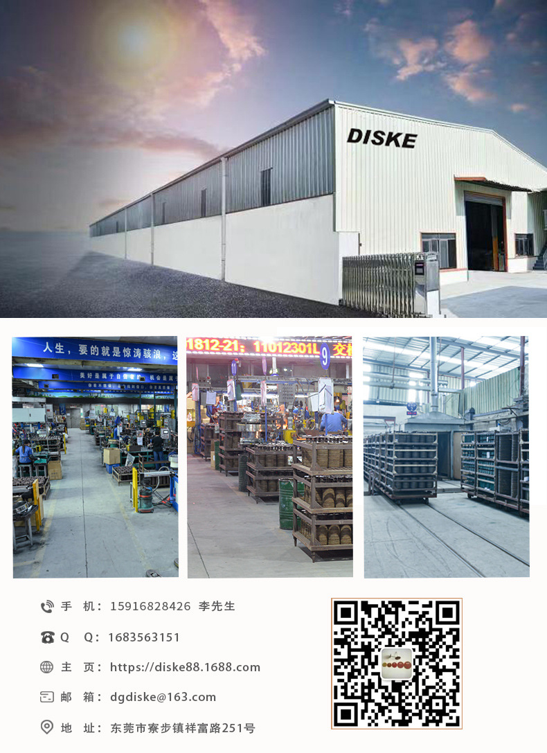 迪思科祥情公司介绍_09