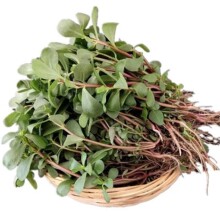 ���r�t�U�R�X�{Ұ���t���R�X��������R����L�����L�۲�ș��ʳ��