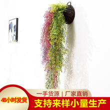 ����������ڹҾƵ�ǽ�ڵ���ֲ����������װ�λ���ֲ����