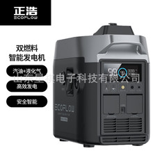 ECOFLOW正浩 220V户外露营停电应急移动电源 双燃料智能发电机