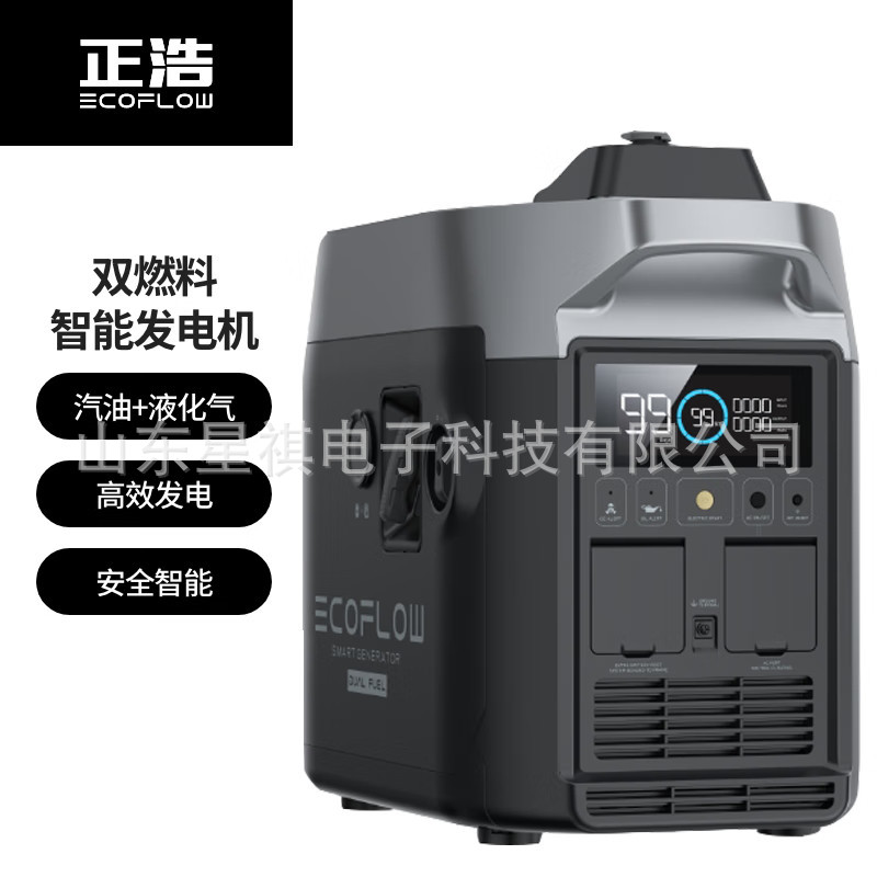 ECOFLOW正浩 220V户外露营停电应急移动电源 双燃料智能发电机