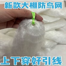 农用草莓大棚防鸟网暖棚口俩侧通风口防护用网葡萄果园果树天沟网