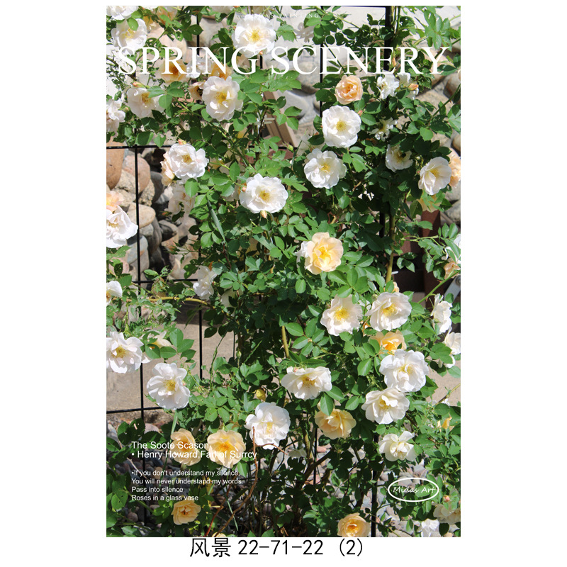 7 / 13*18cm (toile seulement)