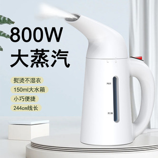 New Dormitory Handheld Mini Garment Ironing Machine Household Steam Electric Iron Small Portable Ironing Machine Wholesale
