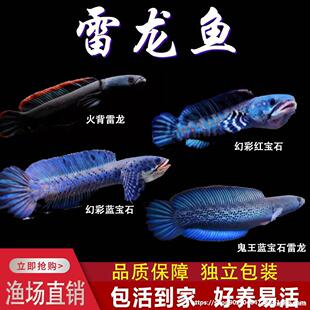 �w�~������{��ʯ�����~�����ò������^�p�~���{�ßᎧ�t�t��ʯ