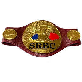 金属工艺品;徽章;奖牌