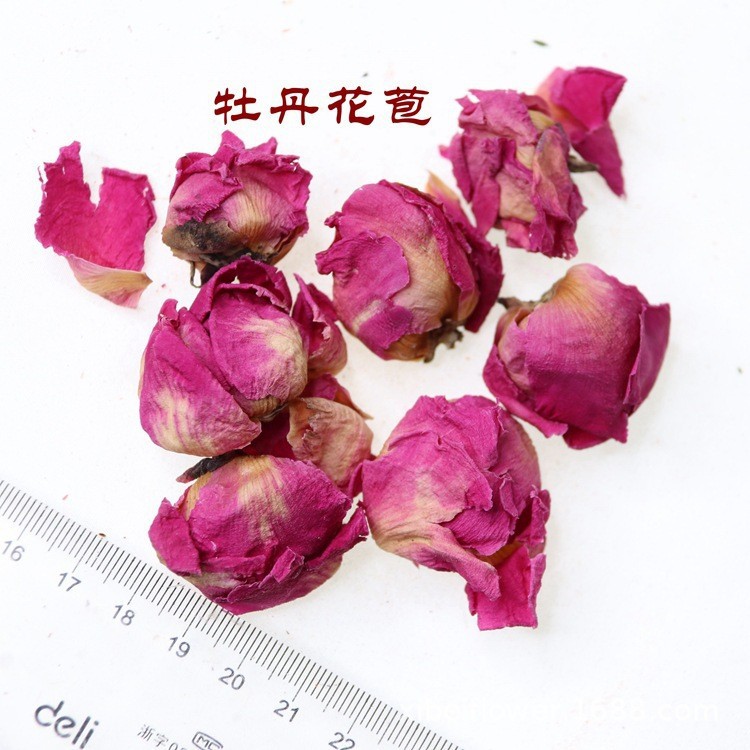 모란 새싹 500 그램