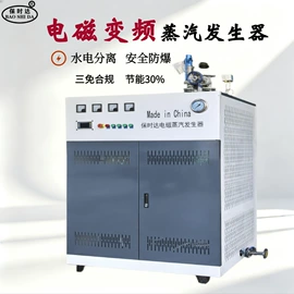 蒸汽发生器;电热锅炉;锅炉配附件