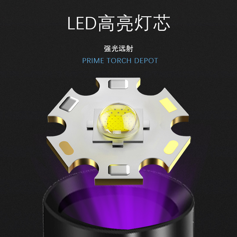 跨境365nm檢測黃麴黴菌貓癬蠍子紫光燈手電筒 鑑定玉石驗鈔專用
