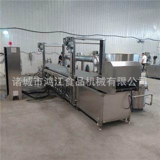 牛肉干油炸线链条式 诸城牙签肉油炸设备 带压浮鹌鹑蛋机电加热