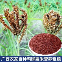 �V��������צ�ڋ냺���^����s�Z���_������tɫ���������]���׷�