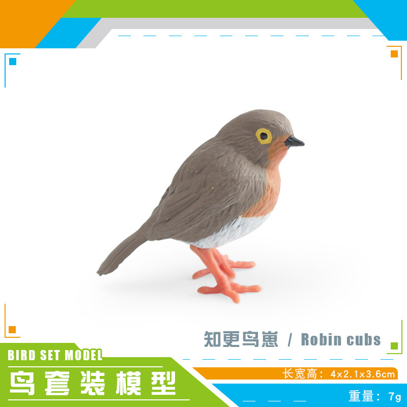 Simulación amazónica de pájaros hummingbirds, colibríes, pájaros, aves, animales, modelos de escritorio, juguetes decorativos estáticos