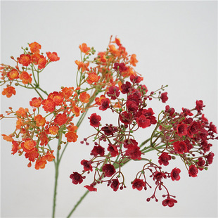 С���·��滨��֦�M����С�黨������������ˇ��c�b�Ʒ���ϼٻ�