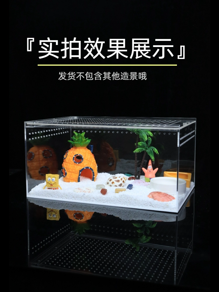Хуаньцзю крабAvoid house large climbing pet tree holes to avoid ornaments, fish, shrimp, coconut shell horn frog to avoid landscape