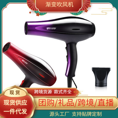 网红爆款电吹风负离子家用110V美规风筒跨境吹风机实用礼品