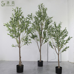 オリーブの木の鉢植えの実のオリーブの木をシミュレーションします。